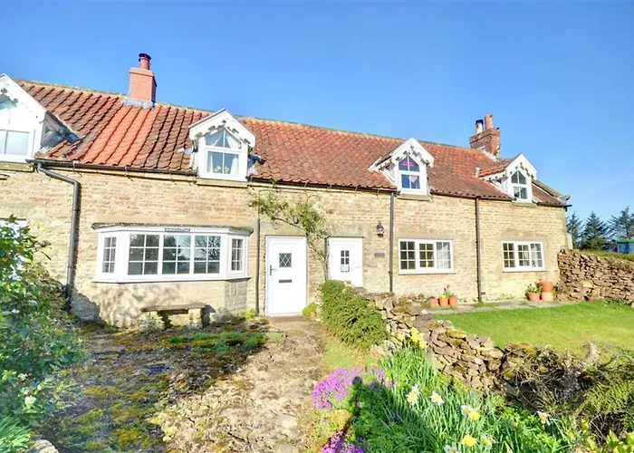 Binkleys Cottage Broxa photo