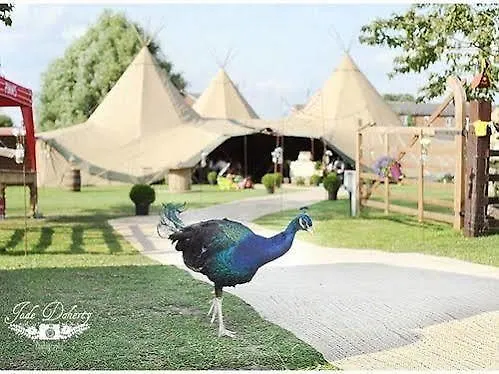Skipbridge Farm Shepherds Huts Campground Green Hammerton photo